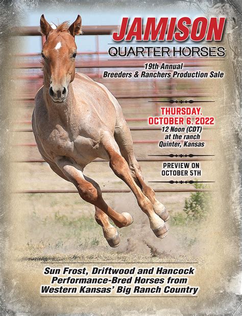Since 1974, we have held our annual production sale on the second Wednesday in March and October at the ranch in Throckmorton, TX. . Jamison ranch horse sale results